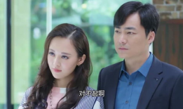 梅花儿香电视剧