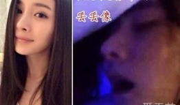 李小璐不雅视频,真相与争议