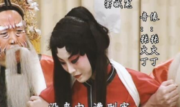 电视剧青衣主题曲,电视剧青衣主题曲背后的故事与感动