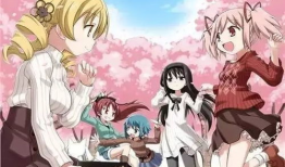 肉动漫网站,揭秘虚拟世界中的肉感魅力