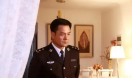 公安厅长20集电视剧,破案风云录