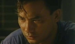 任达华主演的电视剧,传奇人生，荧幕风采